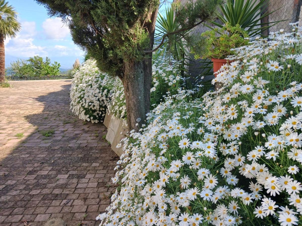 Vila Agriturismo Vemi Santa Sofia d'Epiro Exteriér fotografie