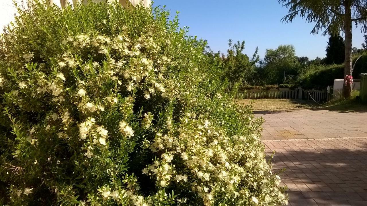 Vila Agriturismo Vemi Santa Sofia d'Epiro Exteriér fotografie